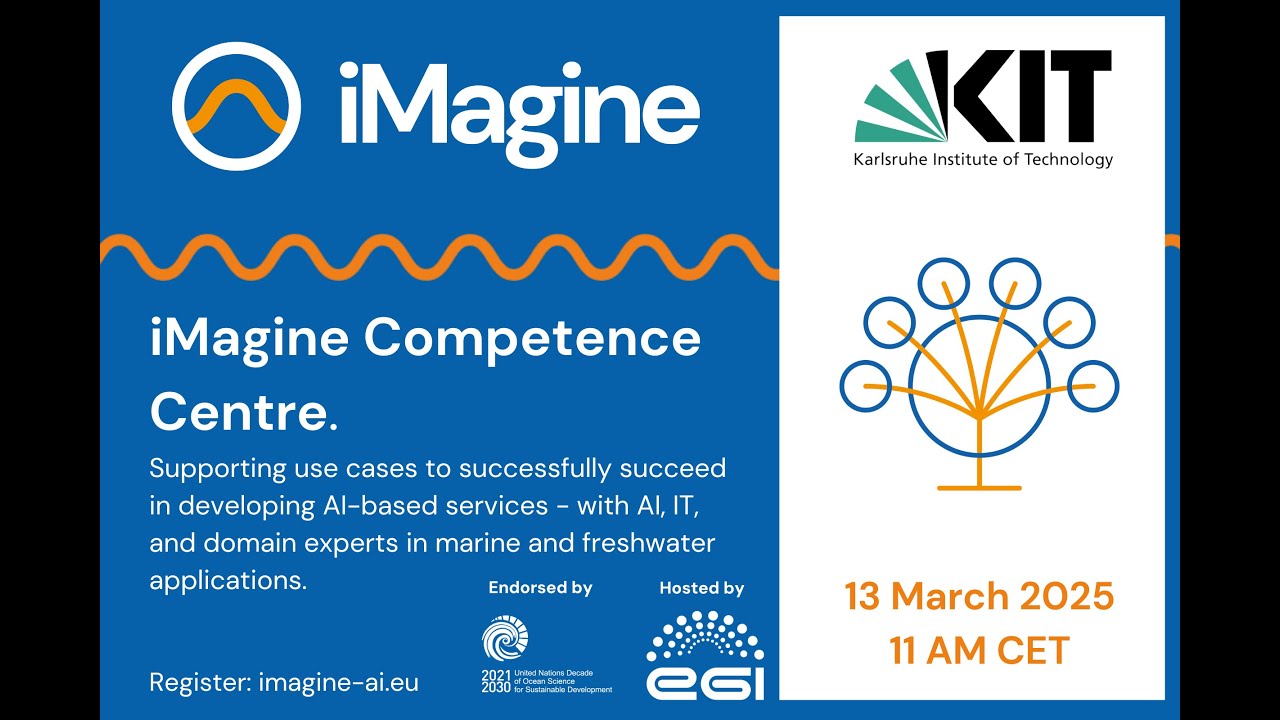 iMagine: Competence Centre
