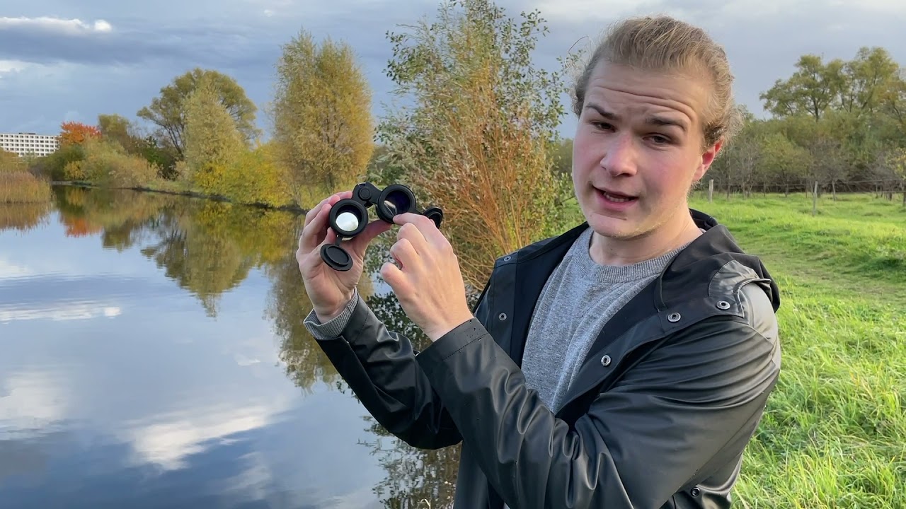 Kikkert peregrine