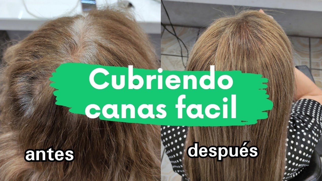 cubriendo canas fácil / Lilyymakeuup