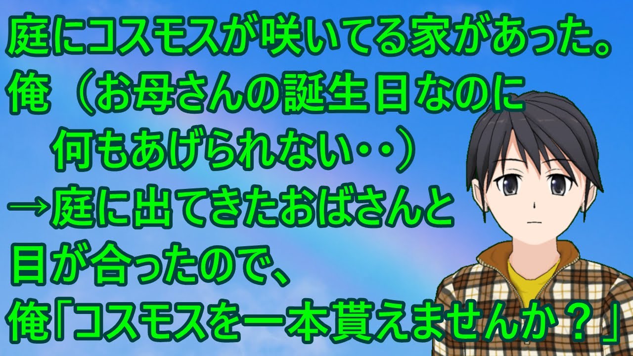 庭にコスモスがいっぱい咲いてる家があった。俺（お母さんの誕生日なのに何もあげられない・・）→庭に出てきたおばさんと目が合ったので、俺「コスモスを一本貰えませんか？」【いい話】