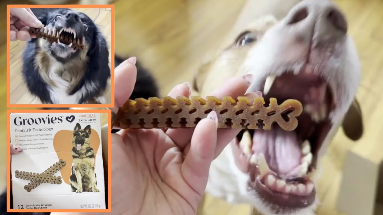 Groovies Flexible Yet Moderately Tough Daily Dog Dental Chews Review