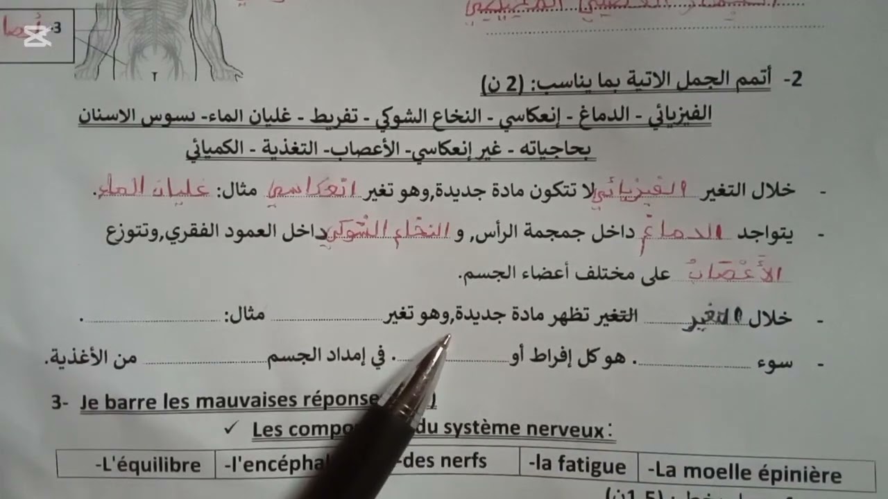الفرض الثاني في الدورة الأولى مادة النشاط العلمي المستوى السادس ابتدائي