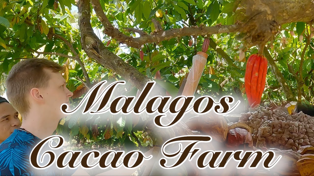 FIRST TIME at Malagos CACAO FARM!😱 Davao - Philippines🇵🇭