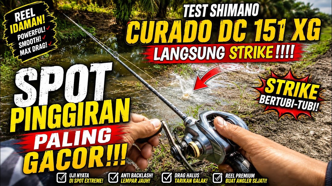 LANGSUNG DI SAMBAR IKAN‼️Mancing Pakai Reel Shimano Curado DC 151 XG