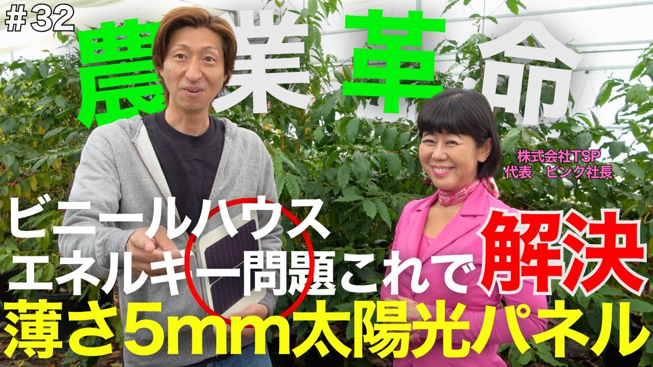 ＃32【※確実に時代が変わります’】ビニールハウスにも太陽光載せられるようになりました。#岡山 #農業 #家庭菜園 #ビニールハウス#農地#コーヒー  #国産コーヒー #太陽光発電