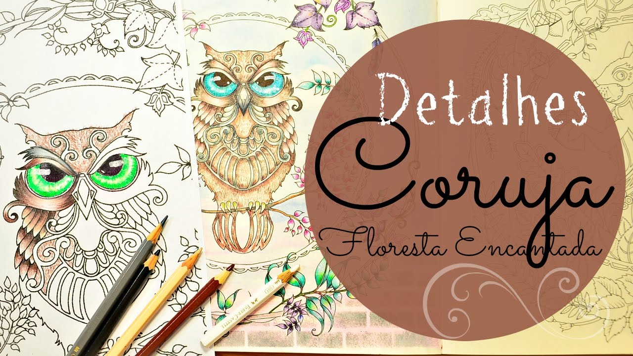 |Coruja -  Floresta Encantada