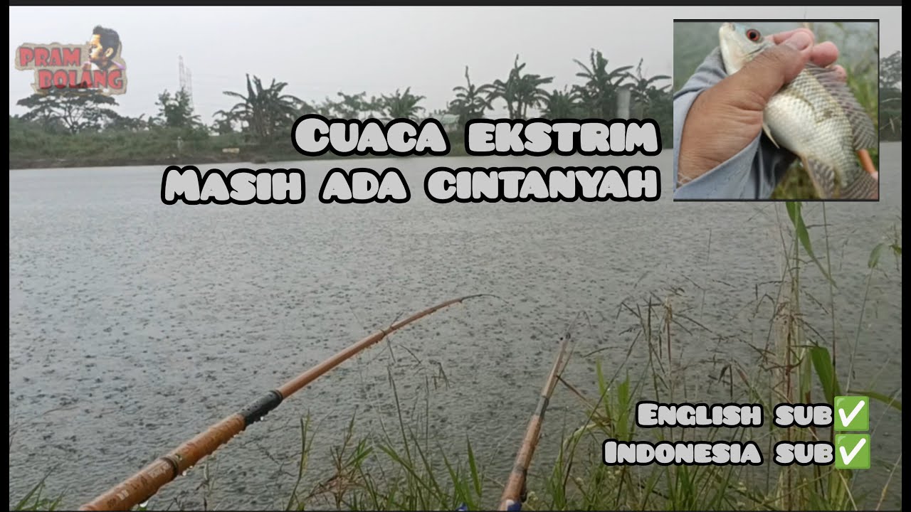 Mancing Saat Hujan! Ikan Nila Tetap Makan