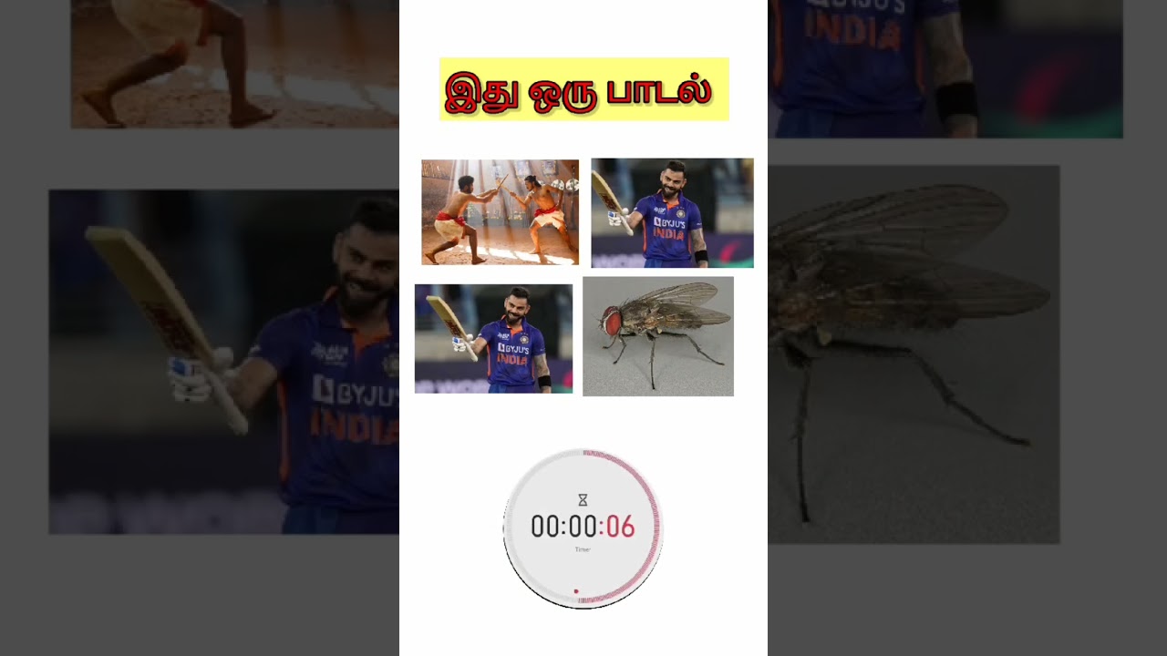guess the tamil song quiz|connect the picture?AR Rahman|the spark media #shots