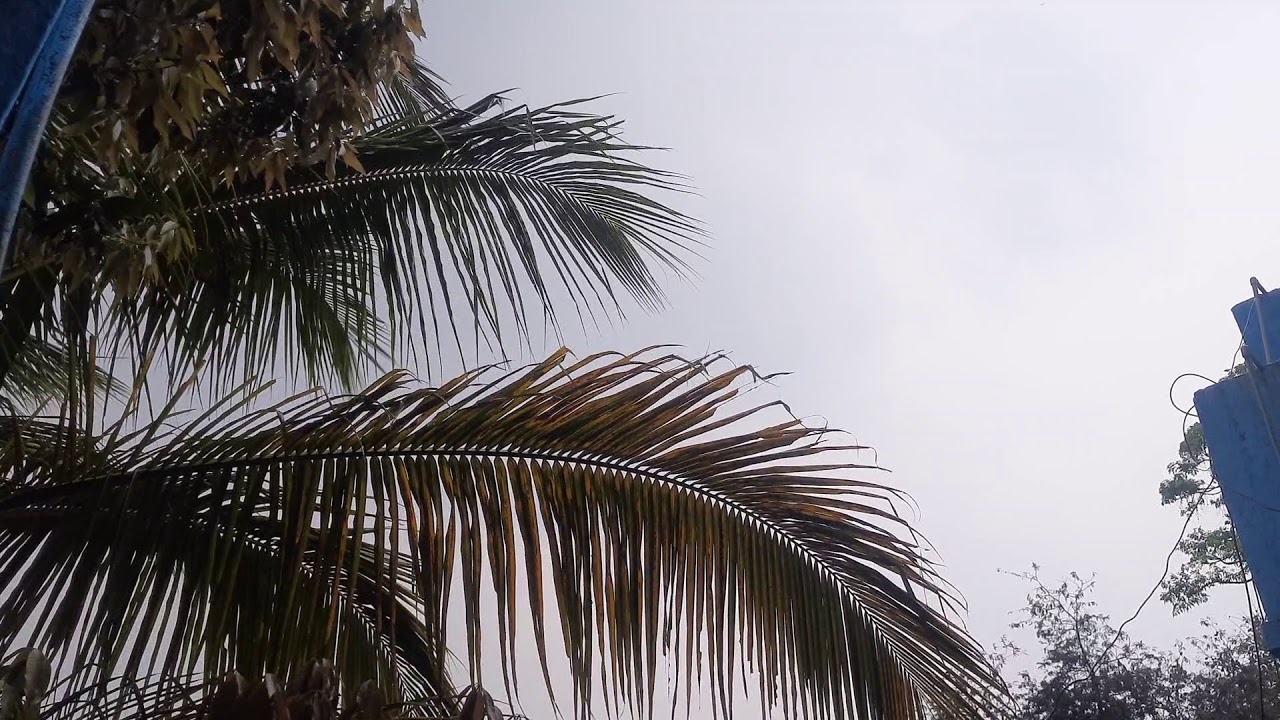 Ranchi's weather in summer days | evening breeze