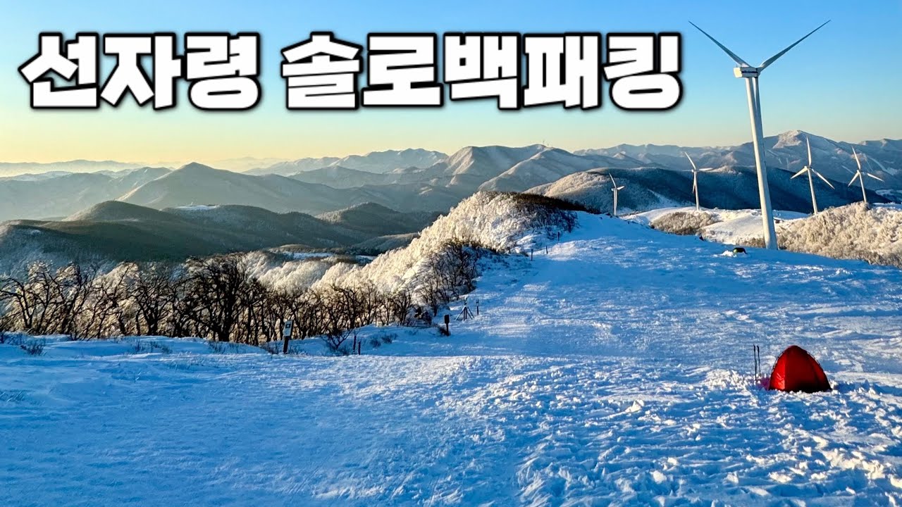 [Backpacking] 강원 평창 선자령 백패킹 | 나홀로 눈덮힌 백두대간 중심에서 행복한 하룻밤⛺ | 대관령 코스 | 힐레베르그 솔로BL