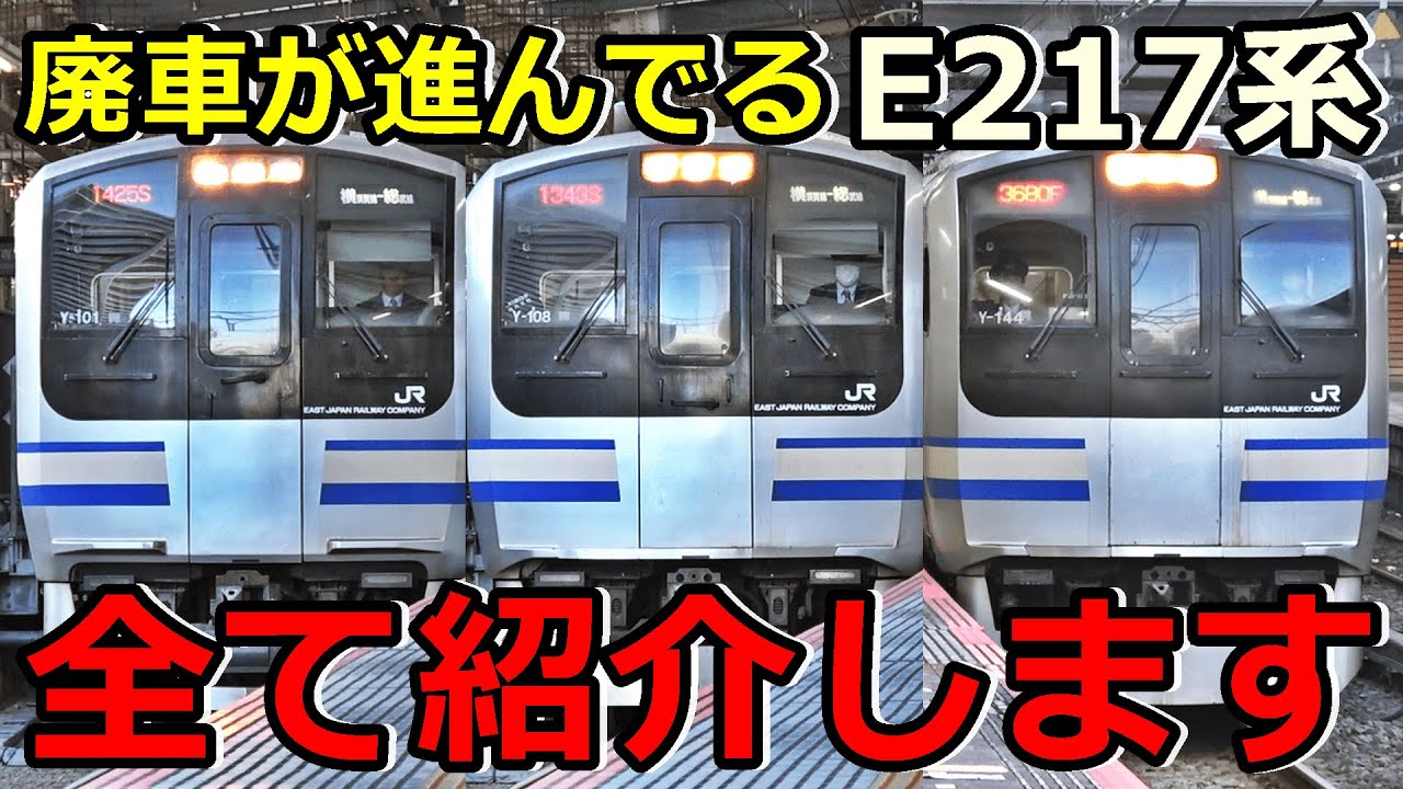 【消滅の危機】E217系に乗りに行きたくなる動画はこちらです