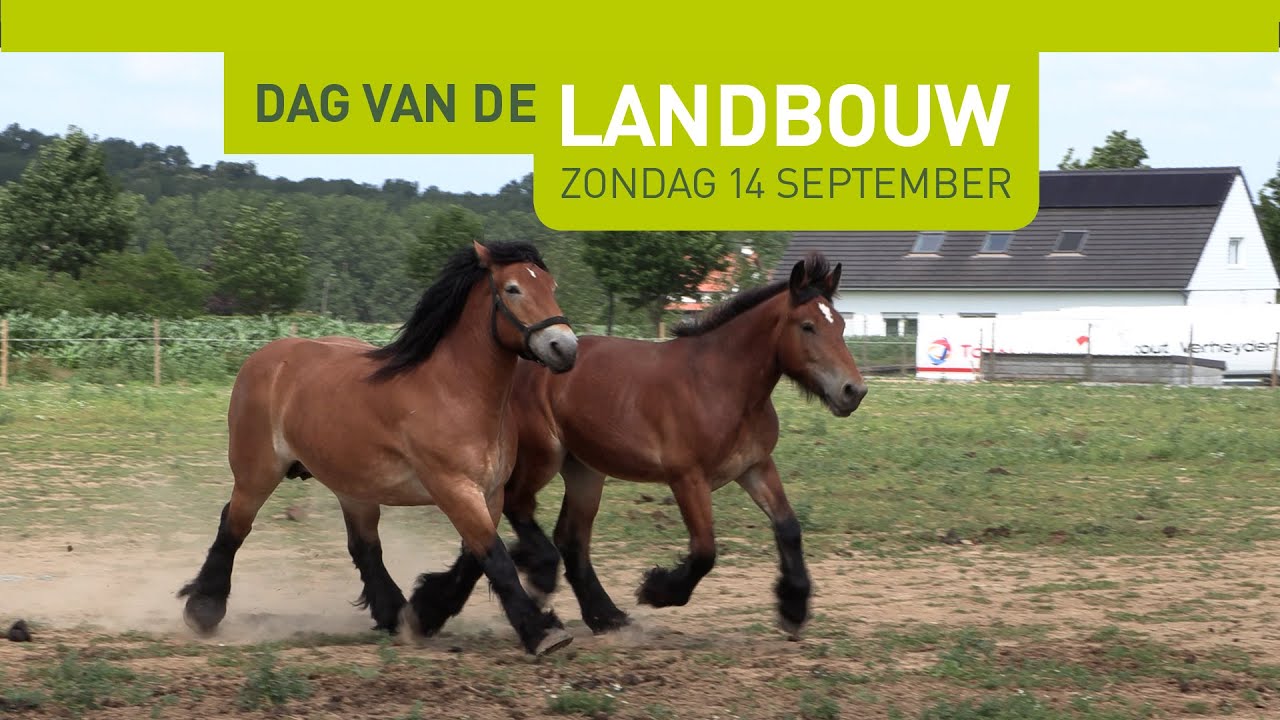 Dag van de Landbouw - Stal de Follezelles