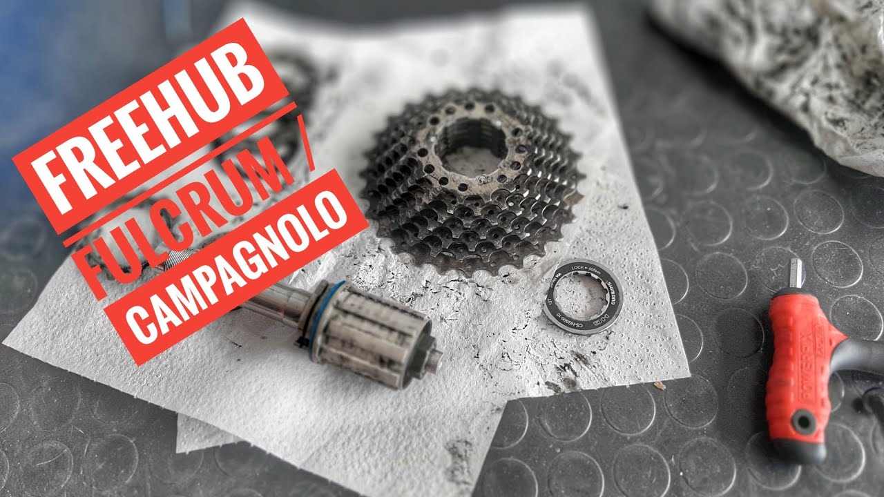 SMONTAGGIO MOZZO/RUOTA LIBERA Fulcrum / Campagnolo Freehub Fulcrum Campagnolo complete Hub Overhaul