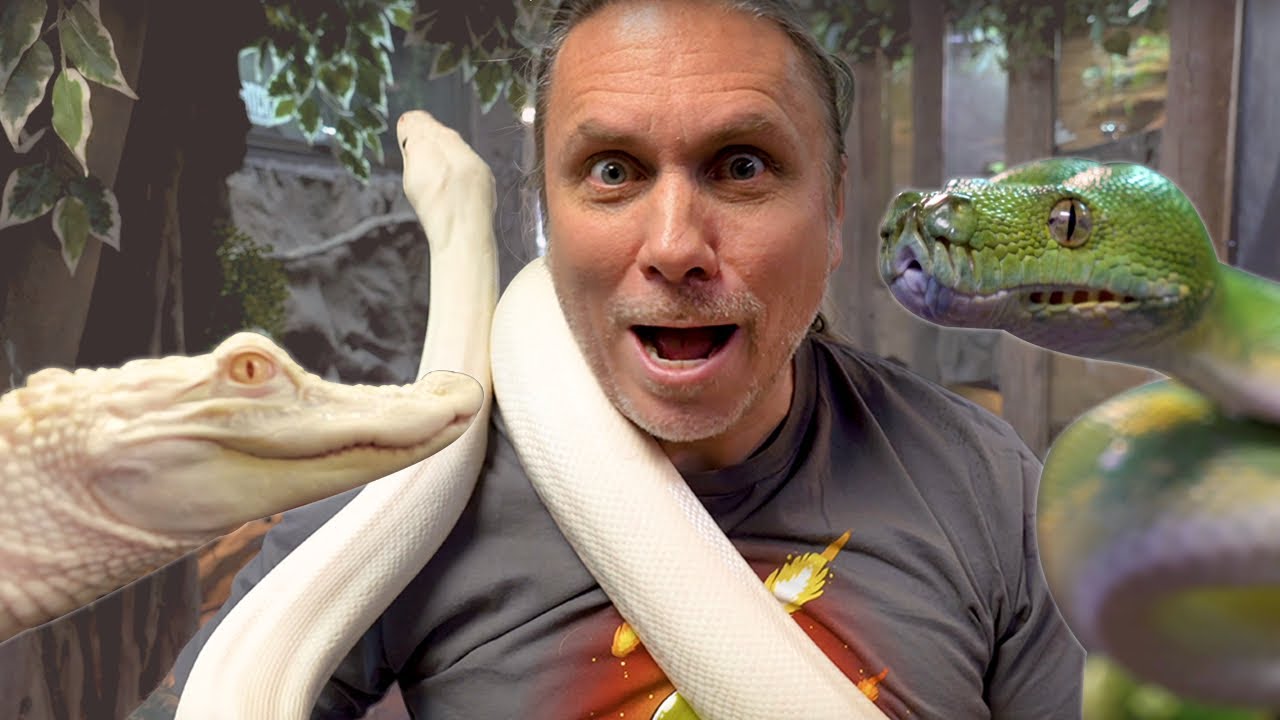 MOST BEAUTIFUL REPTILE AT MY REPTILE ZOO!! YOU CHOOSE!! | BRIAN BARCZYK