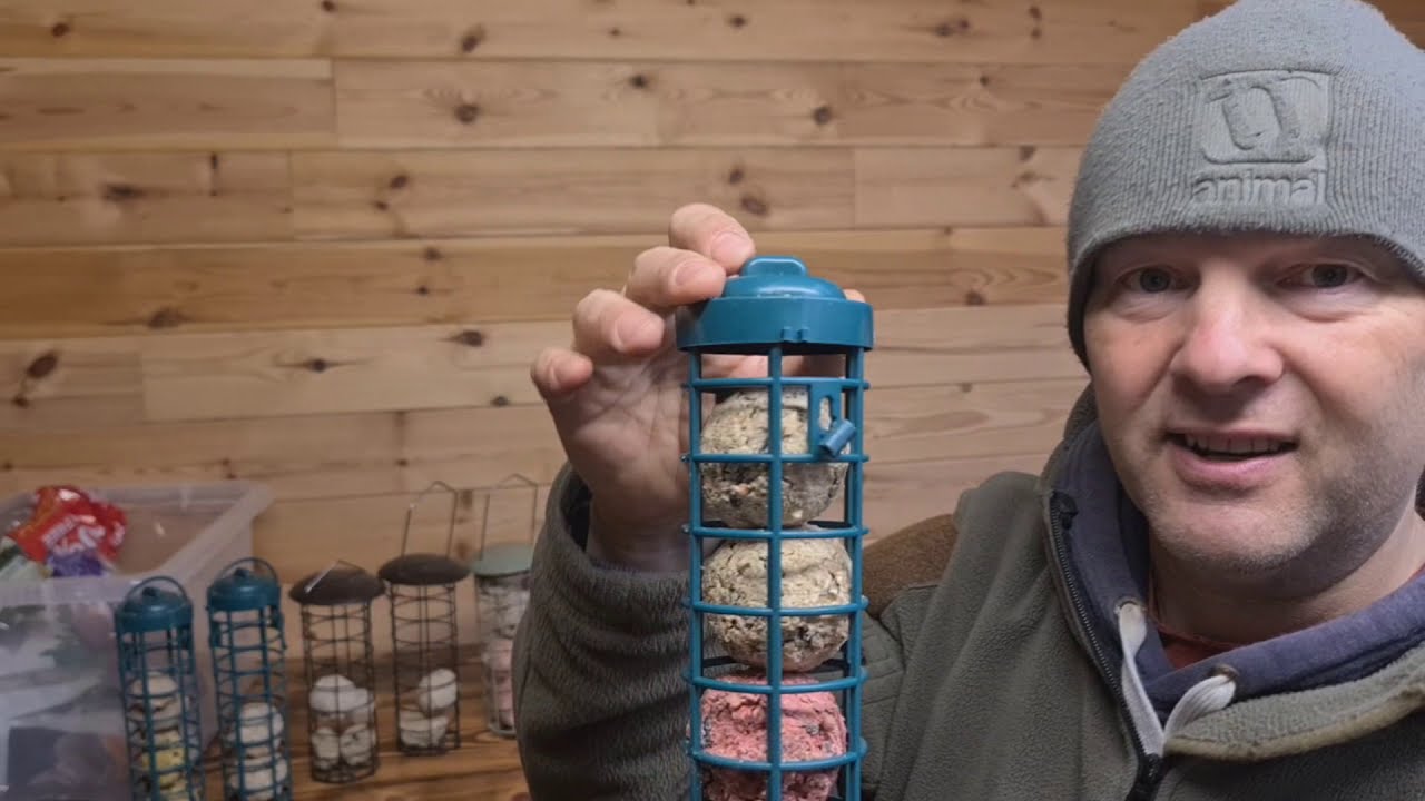 Bird Food Fat Ball Comparison Part 2