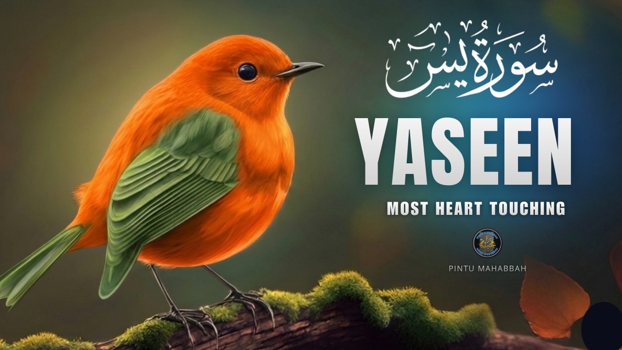 Surah Yasin (سورة يس) | The Most Powerful Quran Recitation for Peace & Barakah