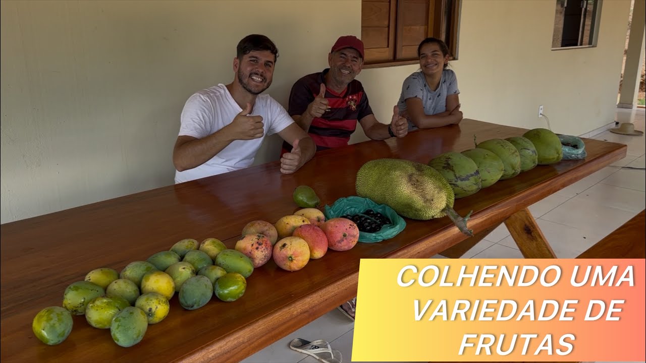 NESSA COLHEITA DE FRUTAS TEVE MUITAS EMOÇÕES !!! ✅🙌