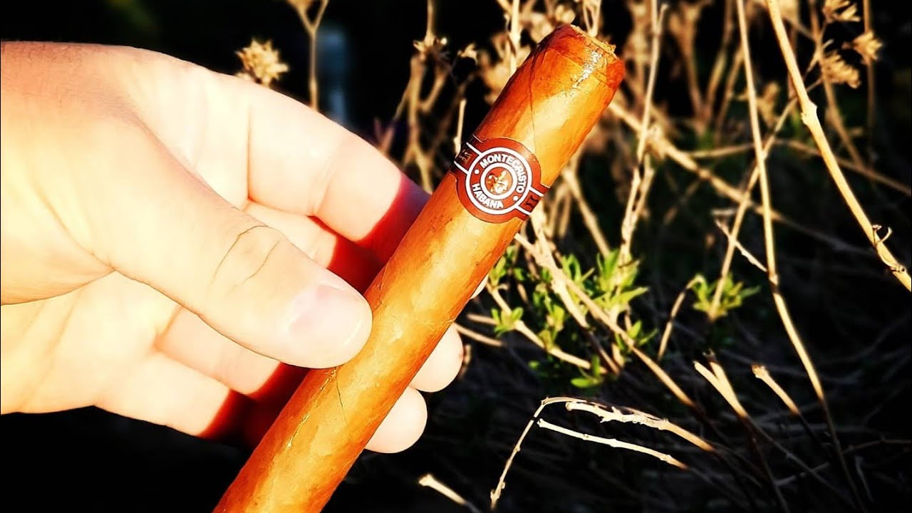 Montecristo Double Edmundo | Zigarren Review 🇨🇺