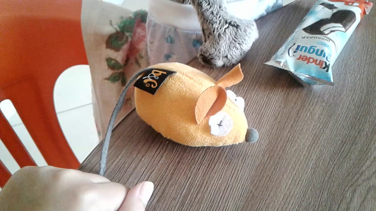 Утро Басика и Ли-Ли. ( в основном Ли-Ли. ) / 1 часть.