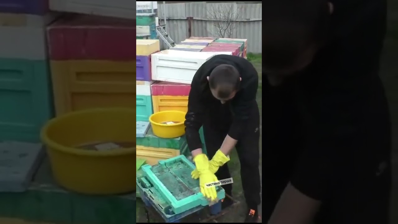 Дезінфікуємо вулики