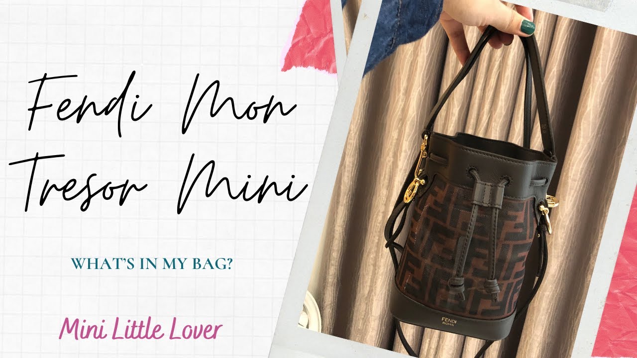 FENDI Mon Tresor Mini in Mesh | What's in my bag? | WIMB