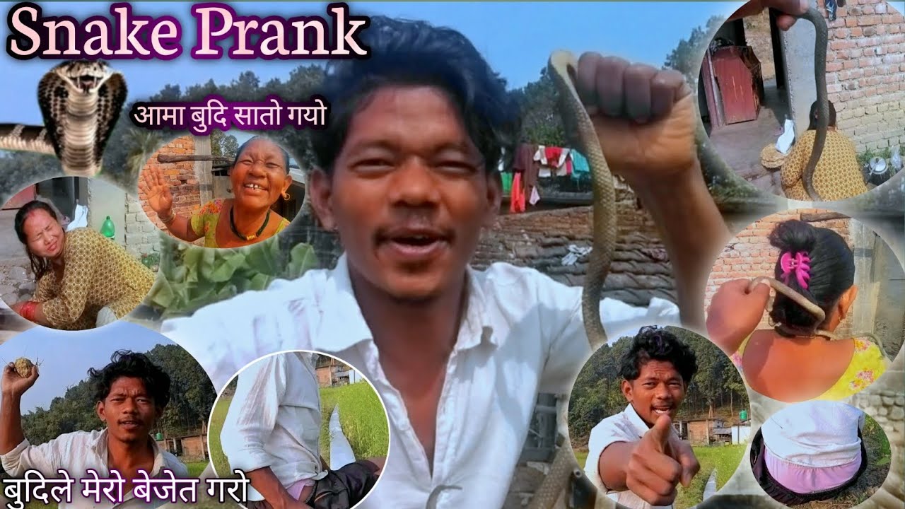 Snake Prank || Budi Ra Aama Ko Sato Gayo || मेरो बेजेत गर्यो