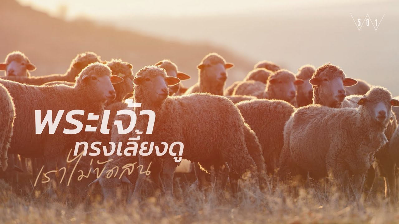 รวมเพลงนมัสการ พระเจ้าทรงเลี้ยงดู เราไม่ขัดสน - W501 [Official Audio]