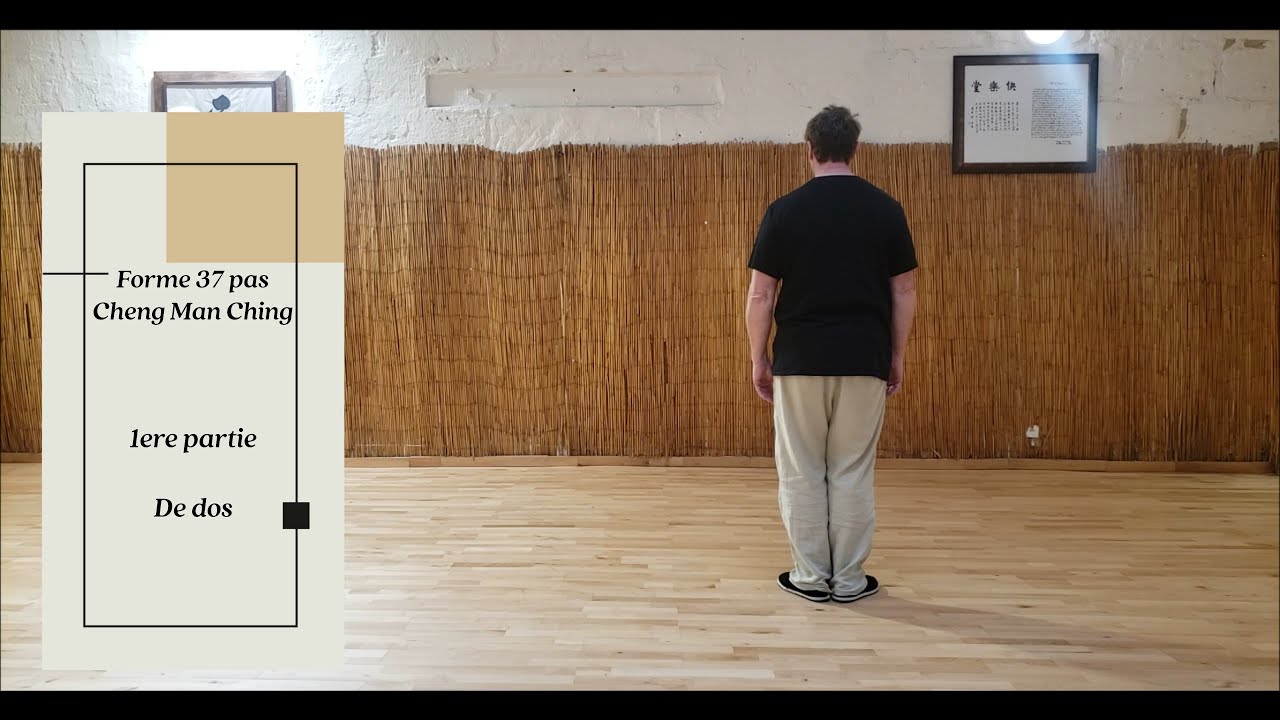 1ere partie de la forme des 37 postures de Cheng Man Ching (de dos)
