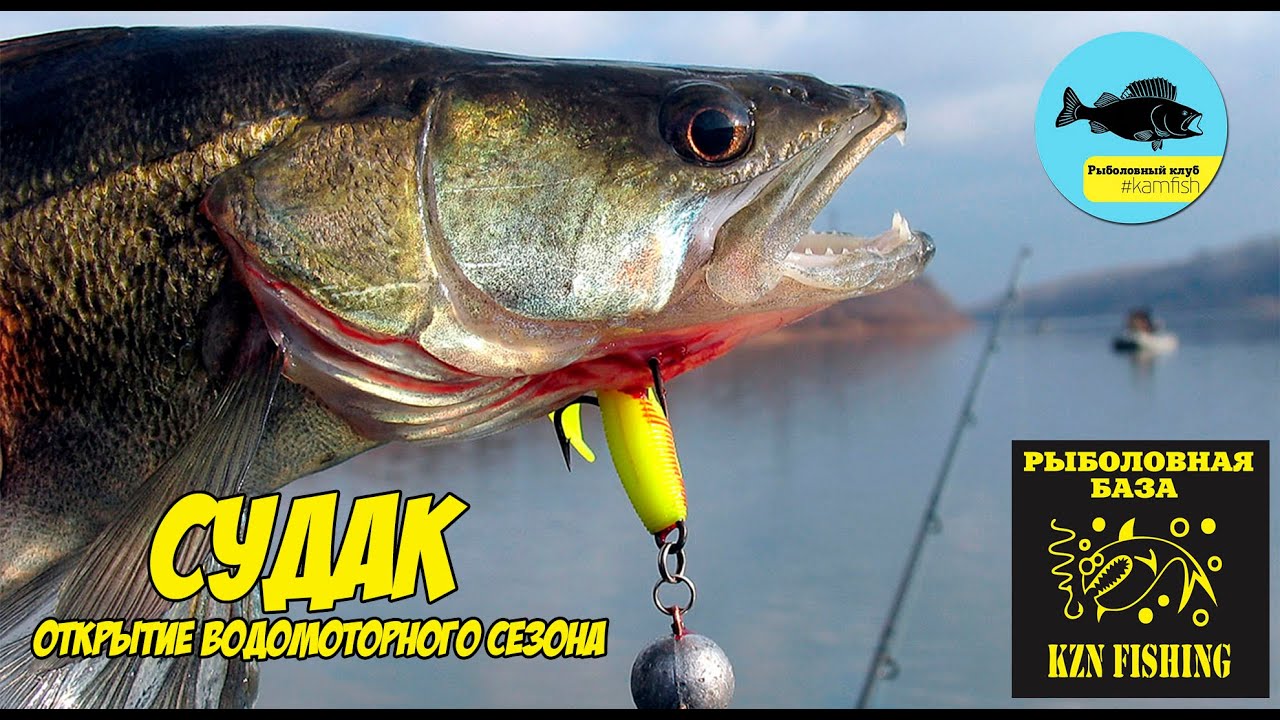 Ловля судака на спиннинг на открытие водомоторного сезона. Рыболовная база KZN Fishing.  Kamfish