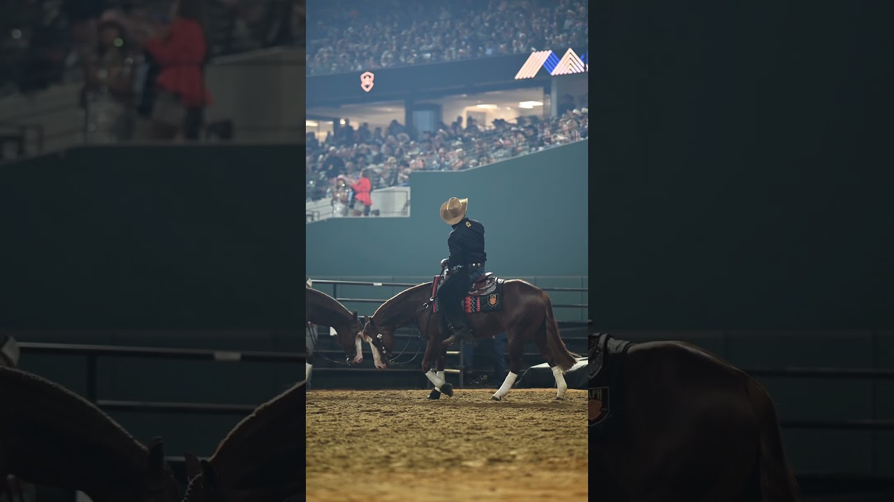 РОДЕО против РЕЙНИНГА