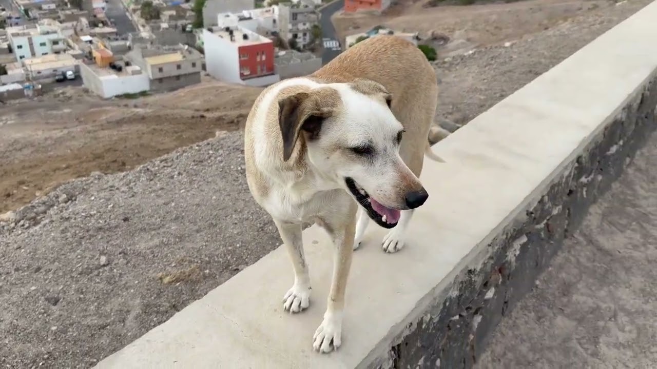 A quick visit to Espargos on the island of Sal, Cape Verde