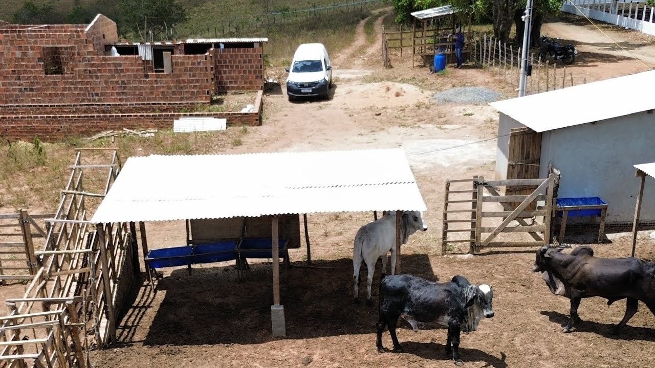 Chácara a venda em Limoeiro baixo o valor pra $90 mil reais 