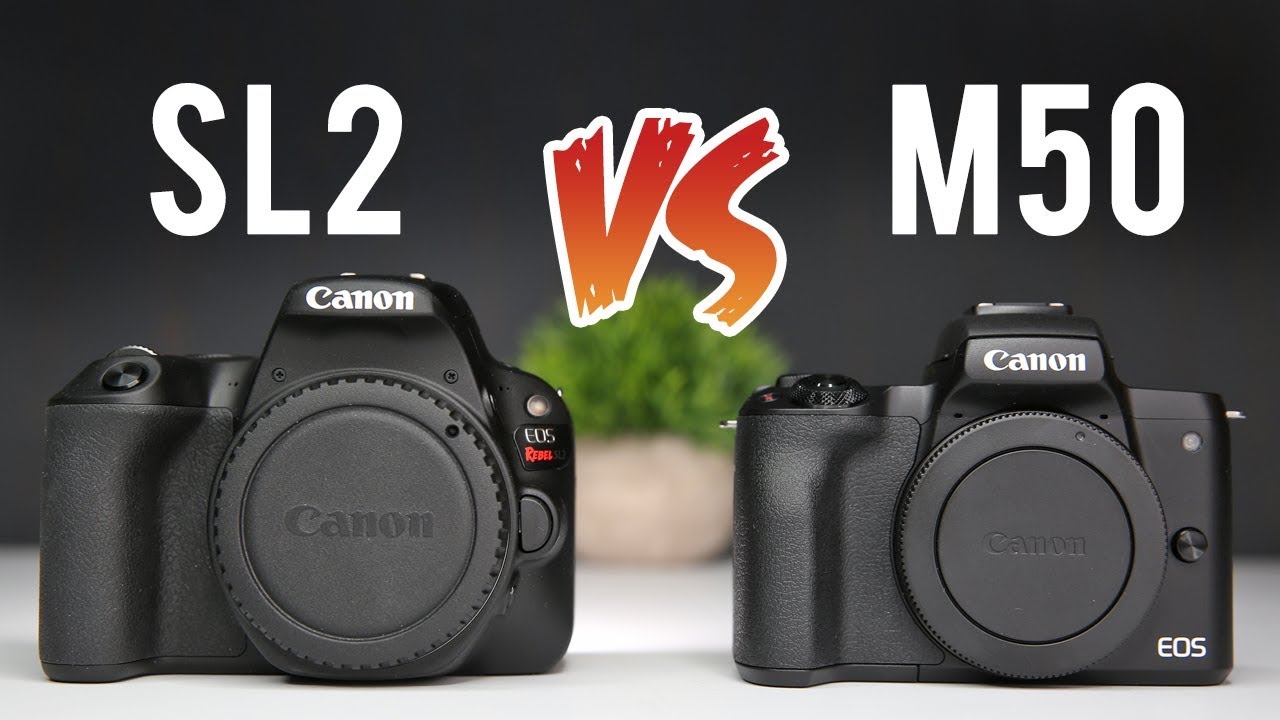Canon M50 vs Canon SL2 Ultimate Comparison