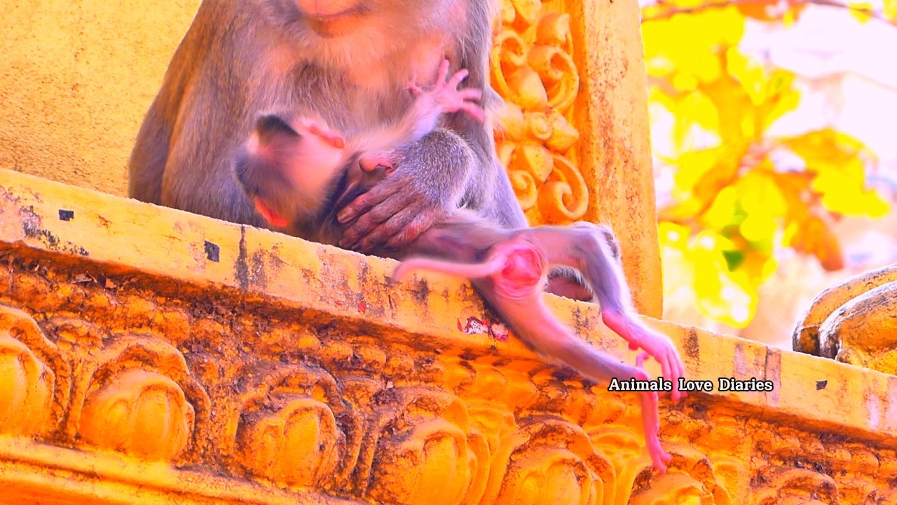 Oh oh! If mom hadn’t caught in time, the baby might have f.allen from a high place.