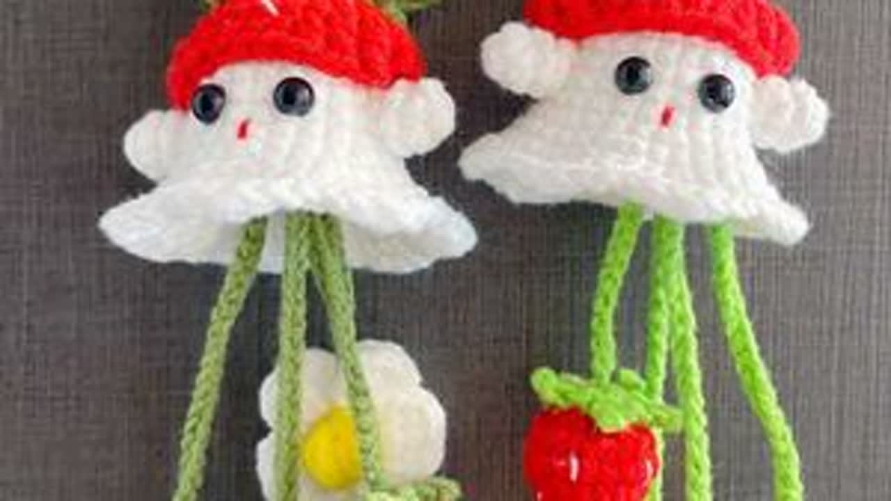 草莓幽灵挂件🧶附详细视频教程 #手工diy #手工编织零基础教学 #教程 #爱钩织 #钩针教程 @DOU+上热门 @抖音创作小助手 @抖音小助手
