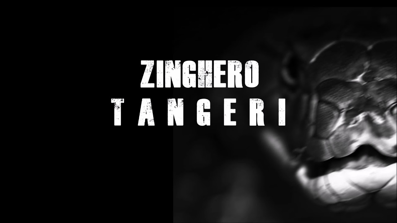Zinghero - Tangeri