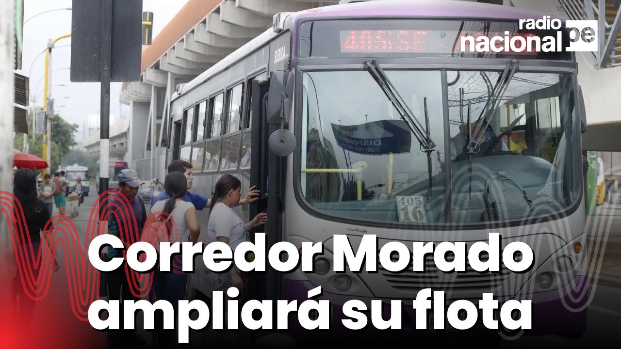 Corredor Morado ampliar&aacute; su flota en los pr&oacute;ximos meses: conoce aqu&iacute; todos los detalles