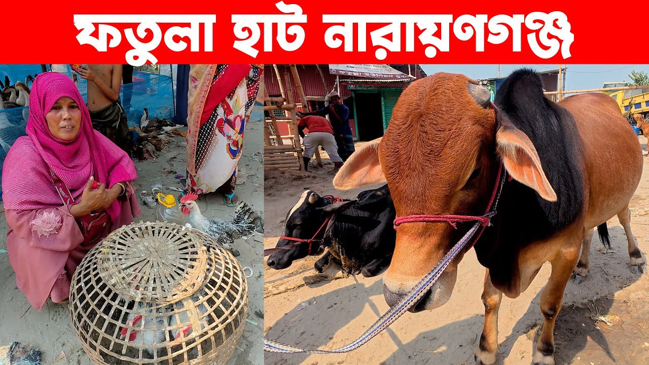 ফতুল্লা হাট নারায়ণগঞ্জ | Traditional Village Market in bangladesh | gramer hat | Live Village 24