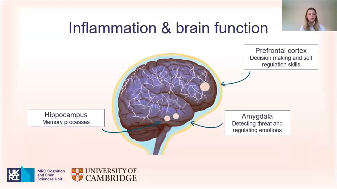 Under pressure: the effects of traumatic stress and inflammation on the brain - Alicia Smith