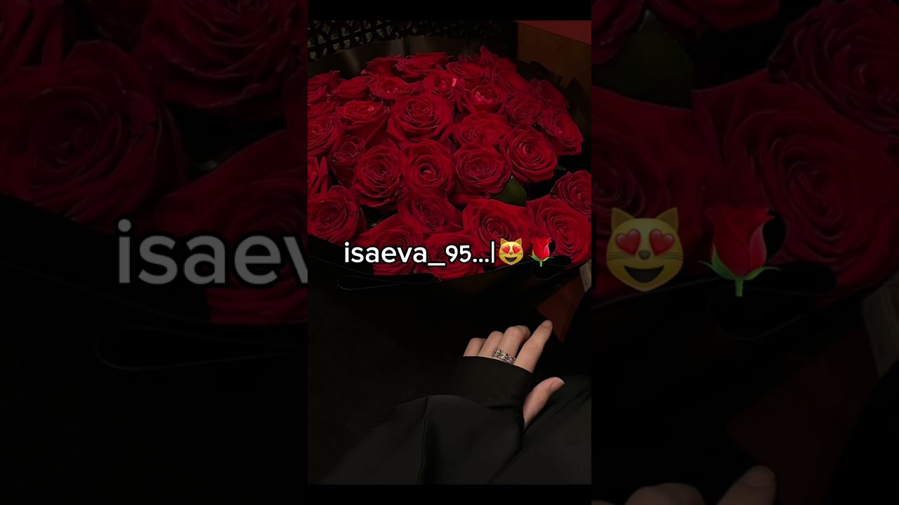 Полная версия песни 2024!😻Вайшинна безам ца хилита…|💔🥀Подпишись если понравилась песня..|✅😻