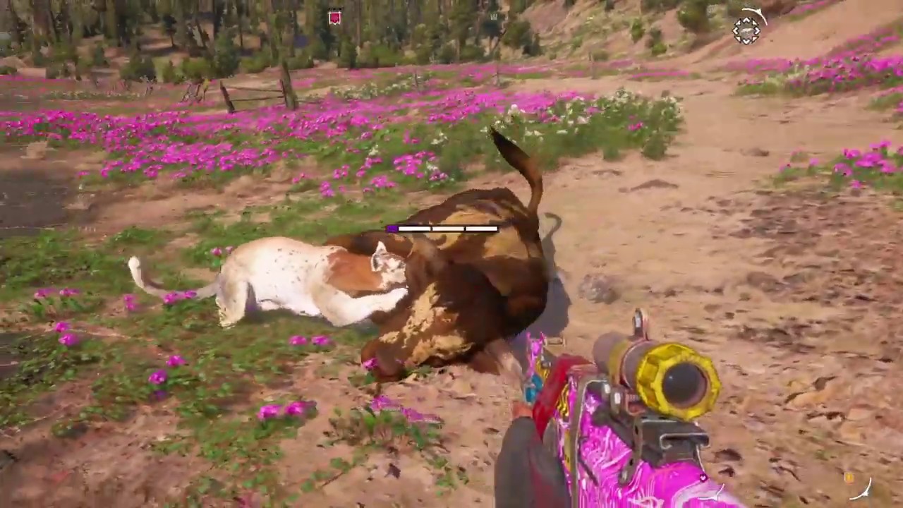 FAR CRY NEW DAWN - ALL ANIMAL FIGHTS - PART 3!!!!