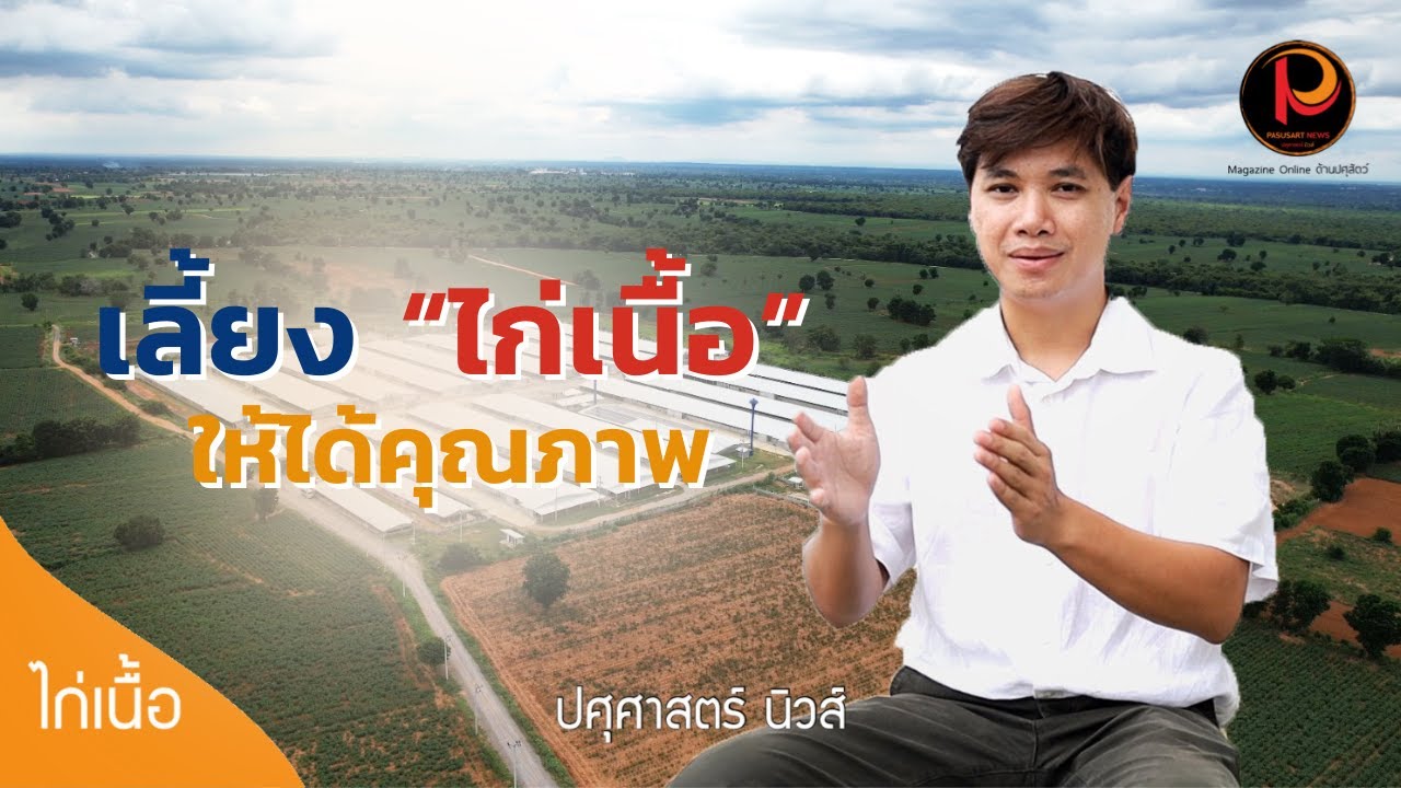เทคนิค (ไม่) ลับ วิธีการเลี้ยงไก่เนื้อให้ได้คุณภาพ ฉบับอรัณย์กาญจน์ฟาร์ม | ปศุศาสตร์ นิวส์