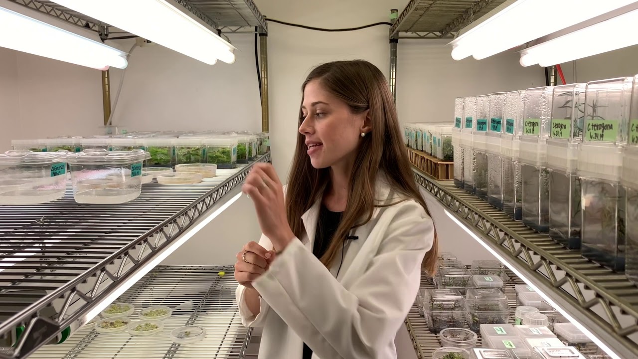 Plant Biochemistry and Biotechnology Lab Tour