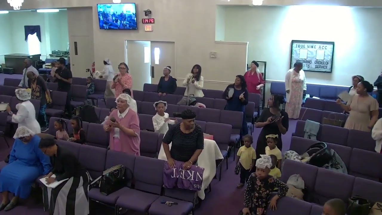 True Vine Apostolic Church of Christ (Hampton, Va)- 5/19/24 Pentecost Sunday
