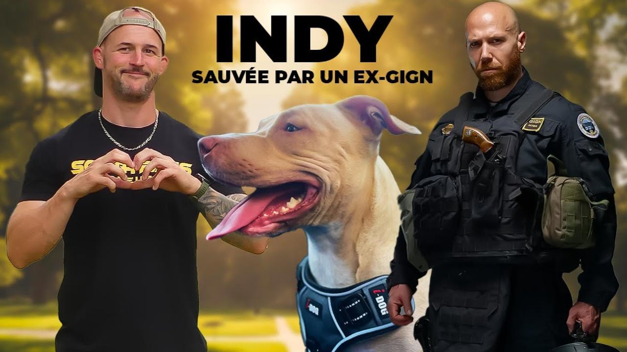 Aton : Confessions d'un maître..