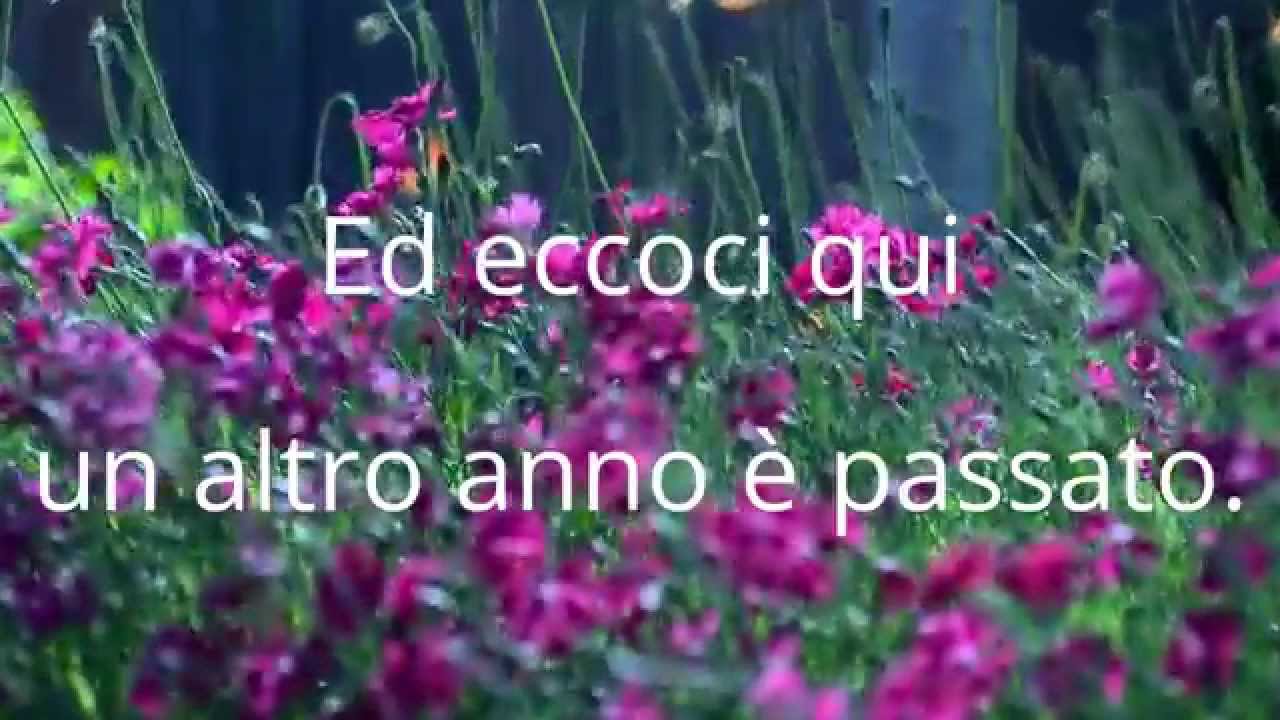 buon 2015