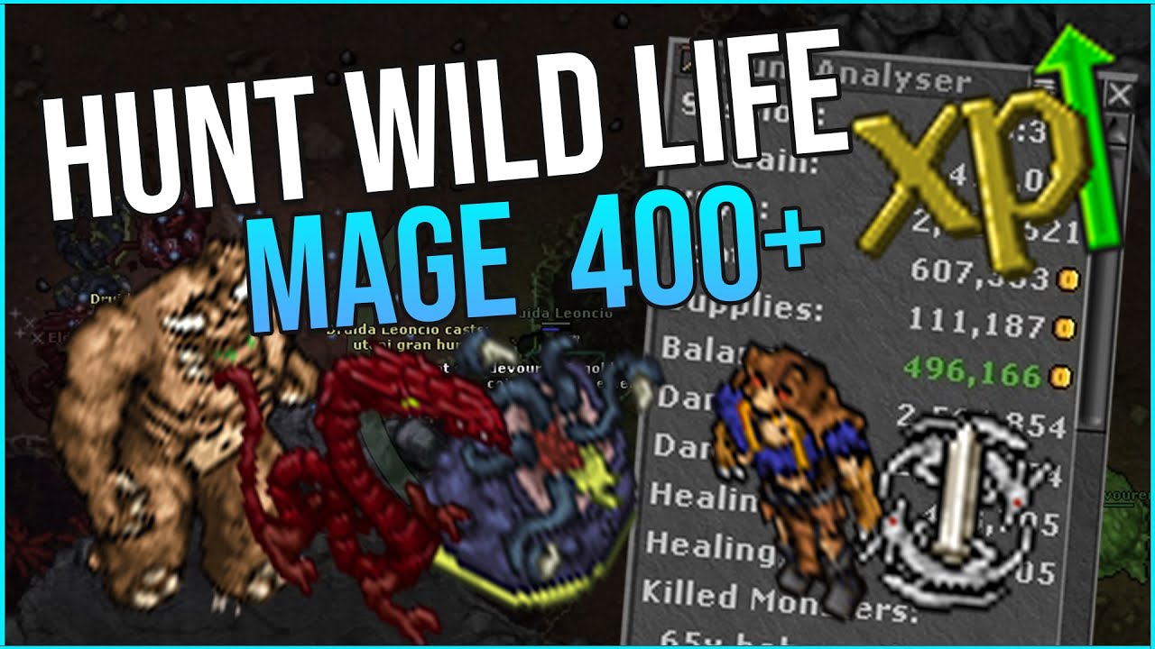 Hunt Wild Life Raid Oramond - Hunt Mage 400 Tibia