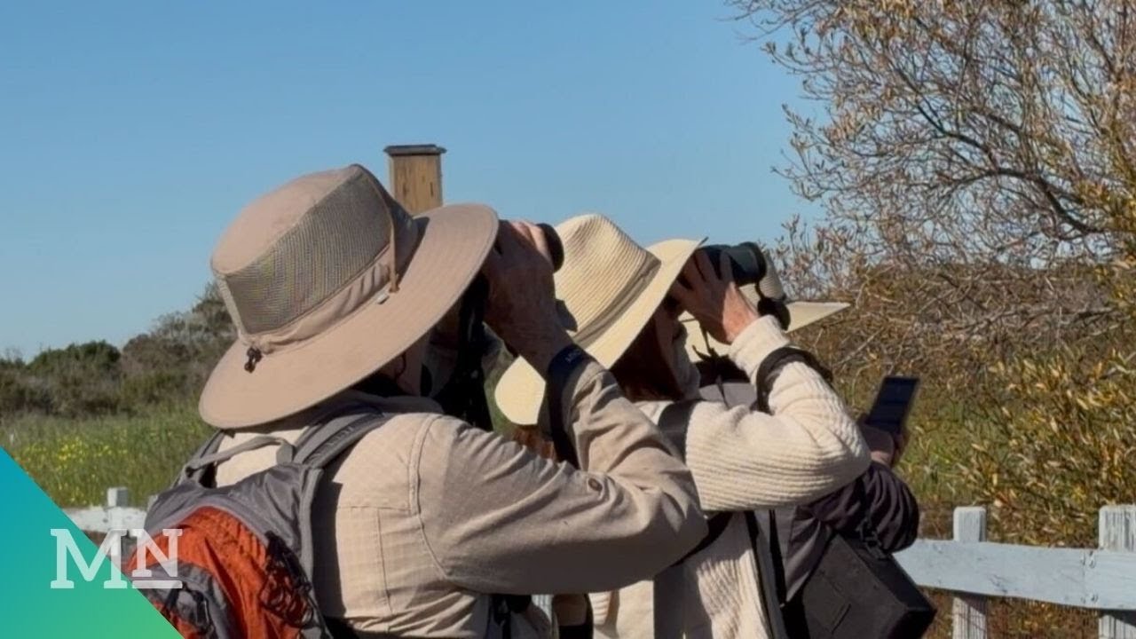 Why local birders return to the Morro Bay Birding Festival every year