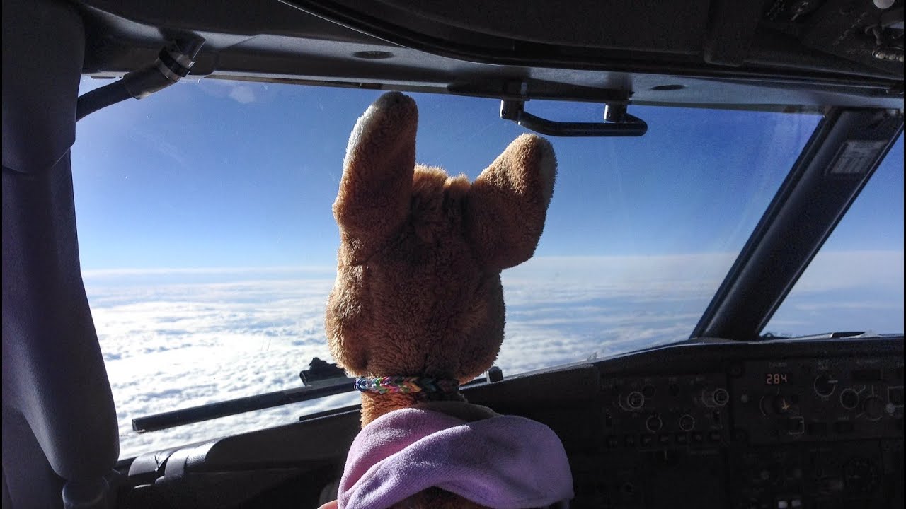 Life quality as an airline pilot, pro's and con's