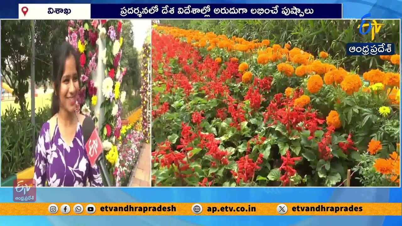 Visakha Utsav Flower Show | Exotic Flower Exhibition Mesmerizes Visitors